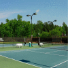 Xtarps, MN-TM-0620, Premium Tennis Court Wind Screen/Mesh, 6'W x 20'L, Black