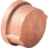 3/4 In. Lead Free Brass Cap - FNPT - 125 PSI - Import