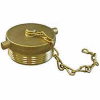 Fire Hose Hose Plug - 2-1/2 In. NH - Brass