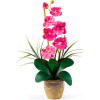 Nearly Natural Phalaenopsis Silk Orchid Flower Arrangement, Dark Pink