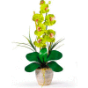 Nearly Natural Phalaenopsis Silk Orchid Flower Arrangement, Green