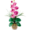 Nearly Natural Phalaenopsis Silk Orchid Flower Arrangement, Mauve