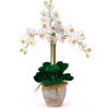 Nearly Natural Triple Phalaenopsis Silk Orchid Flower Arrangement, Cream