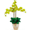 Nearly Natural Triple Phalaenopsis Silk Orchid Flower Arrangement, Green