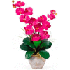 Nearly Natural Double Phalaenopsis Silk Orchid Flower Arrangement, Beauty