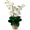 Nearly Natural Double Phalaenopsis Silk Orchid Flower Arrangement, Cream