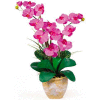 Nearly Natural Double Phalaenopsis Silk Orchid Flower Arrangement, Orchid