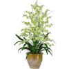 Nearly Natural Triple Dancing Lady Silk Flower Arrangement, Green