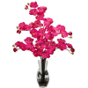 Nearly Natural Phalaenopsis with Vase Silk Flower Arrangement, Beauty