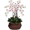 Nearly Natural Large Phalaenopsis Silk Flower Arrangement, White