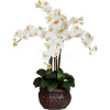 Nearly Natural Phalaenopsis with Decorative Vase Silk Flower Arrangement, Cream