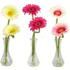 Nearly Natural Gerber Daisy with Bud Vase (Set of 3), Cream/Pink/Beauty