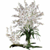 Nearly Natural Dancing Lady Silk Orchid Flowers (Set of 12), White