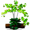 Nearly Natural Phalaenopsis Stem (Set of 12), Green