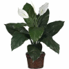 Nearly Natural Spathiphyllum with Wicker Silk Plant
