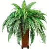 Nearly Natural Boston Fern with Wood Vase Silk Plant