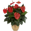 Nearly Natural Anthurium with Ceramic Vase Silk Plant