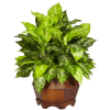 Nearly Natural Variegated Dieffenbachia with Large Hexagon Silk Plant