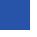 Flagging Tape - Blue