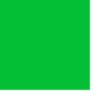 Flagging Tape - Fluorescent Green