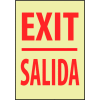 Glow Sign Vinyl - Exit/Salida Bilingual