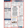 Labor Law Poster - Colorado