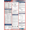 Labor Law Poster - South Carolina