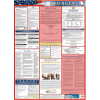 Labor Law Poster - Georgia - Spanish