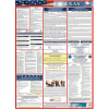 Labor Law Poster - Texas - Spanish