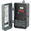 NSI TORK® DG180A 24 Hr Digital Signal/Cycle & Skip Days, 1 Chan, 20A,120-277V, SPDT In/Out Encl