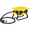 CEP 6507G, 30A Twist Lock Power Center, NEMA 3R