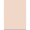 Pacon® Heavyweight Tagboard, 9"W x 12"H, Manila, 100/Pack