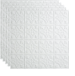 Fasade Traditional Syle # 1 - 23-3/4" x 23-3/4" PVC Lay In Tile in Matte White - PL5001