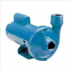 Little Giant 558240 CP-050-C Centrifugal Pump Cast Iron & End Suction - 115/230V - 46 GPM - 1/2 HP