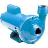 Little Giant 558241 CP-075-C Cast Iron & End Suction Centrifugal Pump - 115/230V- 55 GPM- 3/4 HP
