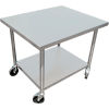 IMC Stainless Steel Mixer Table W/ Undershelf & Casters, 24&quot;W x 24&quot;D