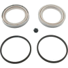 Carlson Disc Brake Caliper Repair Kit 41298