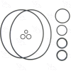 A6 Compressor O-Ring Kit - Four Seasons 24008