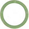 Green Round O-Ring - Four Seasons 24651