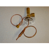 A/C Expansion Valve, Global Parts 3411333