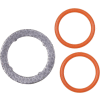 Exhaust Gas Recirculation Valve Gasket - Standard Ignition VG169