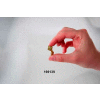Quick Cable 169138-100 Solderless Disconnect Adapter Male #10 Stud /Male, 0.250 Stud, 100 Pcs