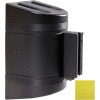 WallPro 300 Black Wall Mount Retracting Barrier, 10' Yellow Belt