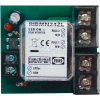RIB® Panel Relay RIBMN24ZL, 2.75" x 2.35", 30A, DPST, 24AC/DC