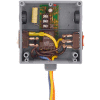 RIB® Enclosed Relay RIBT2402SBC, Hi/Low Sep. 20A, SPDT, 24VAC/DC/208-277VAC, Override