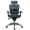Eurotech Ergohuman Executive High Back Chair - ME7ERG-BLUE(N) - Blue Mesh