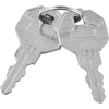 Replacement Keys For Inner Door of Global Industrial Narcotics Cabinet 436952, 2pcs Key# 156