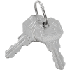 Replacement Keys For Inner Door of Global Industrial Narcotics Cabinet 436953, 2pcs Key# 160