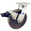RWM Casters 6" Signature™ Wheel Swivel Caster with Face Contact Brake - 65-SWB-0620-S-ICWB
