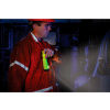 Streamlight&#174; 68751 Dualie&#174; 245 Lumen & Laser Instrinsically Safe Multi-Function Flashlight